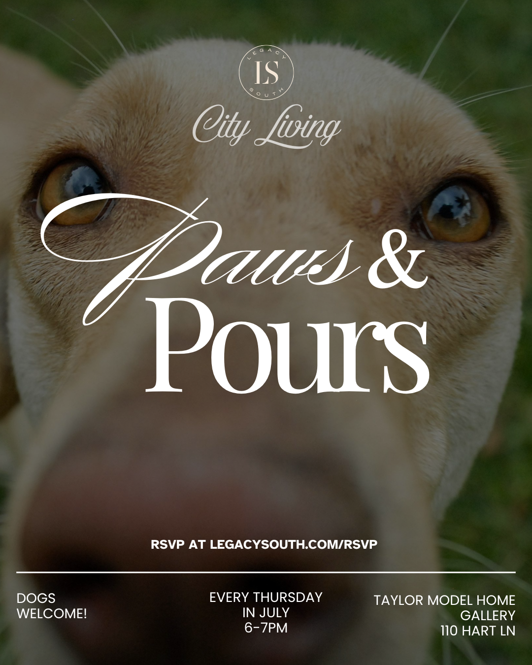 Paws and Pours flyer