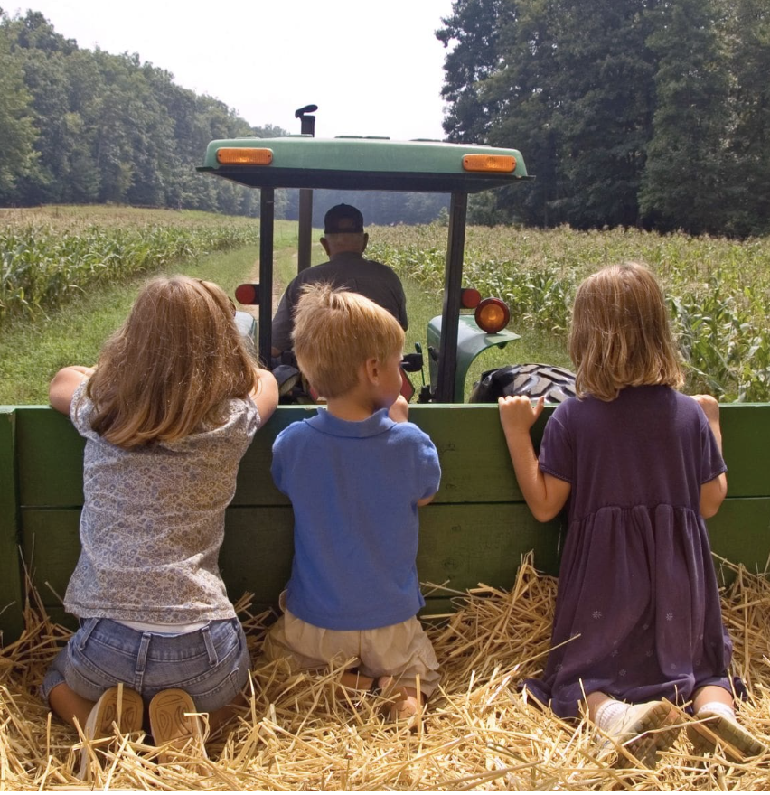 Hayride