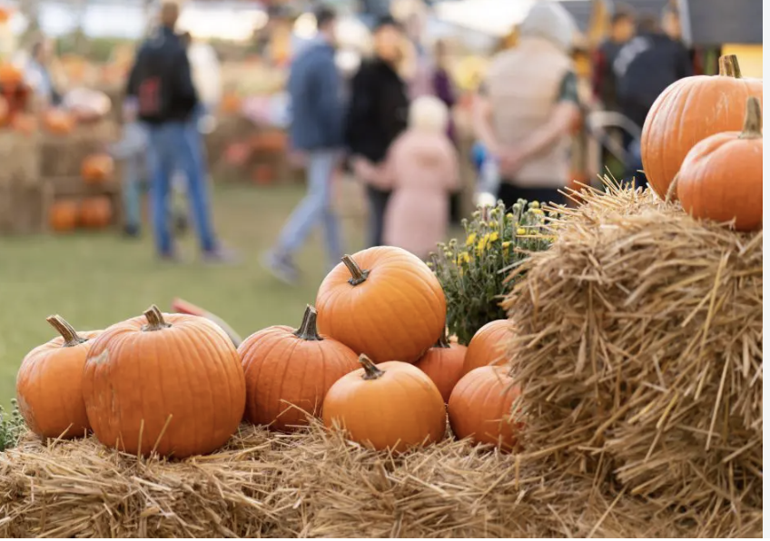 Fall Fest at Stoneview